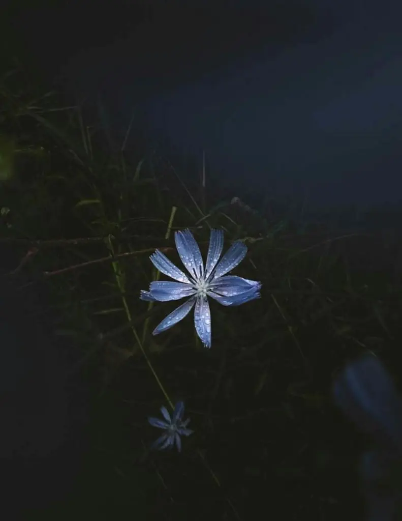 Andachtsbild von Gaby mit Snowy ❤️