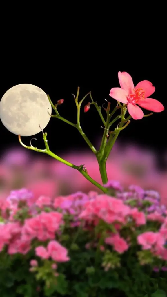 Andachtsbild von ♥️