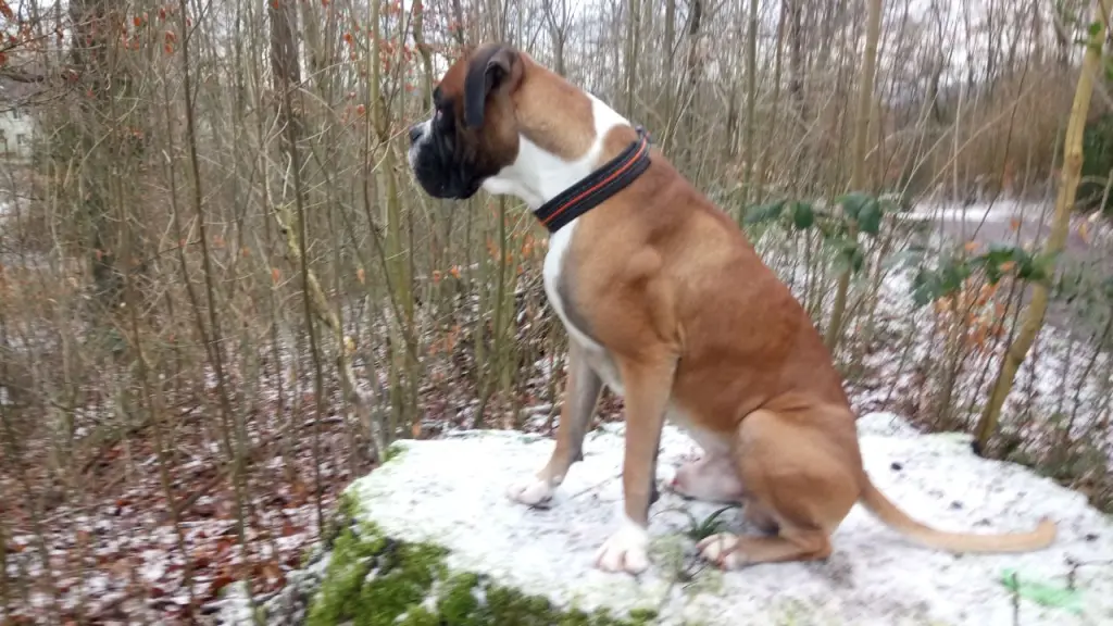 Andachtsbild von Heike und Tucker