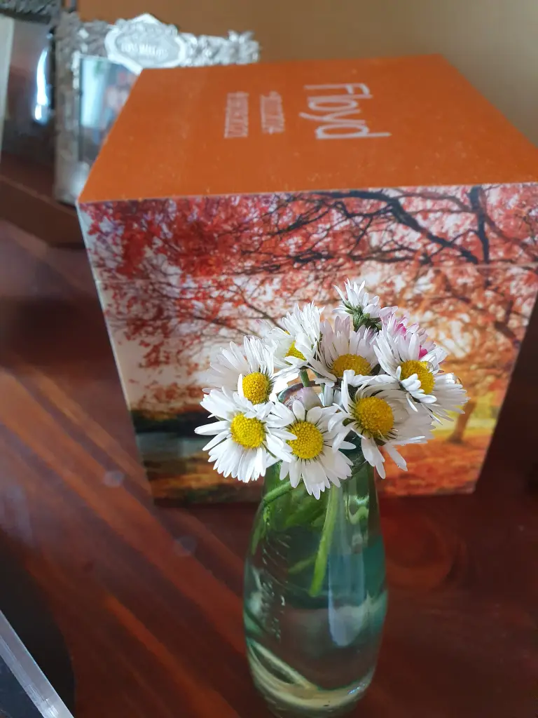 Andachtsbild von Karina und Jörg mit Floyd im ❤ 