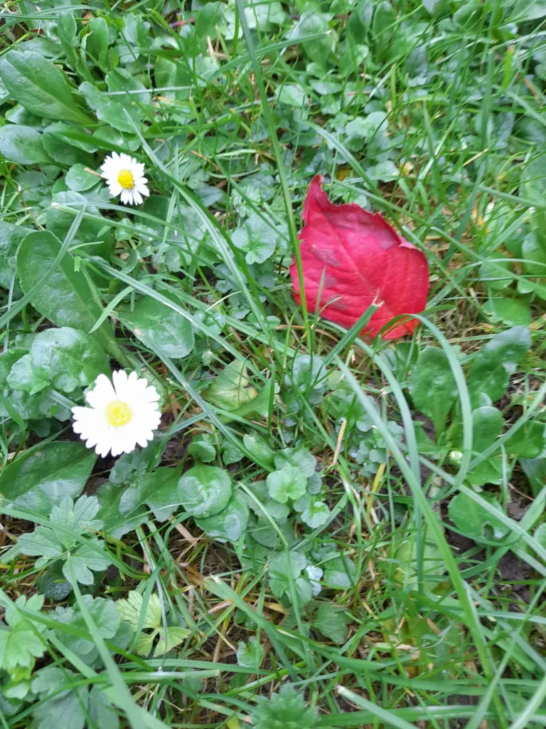 Andachtsbild von Heike und Tucker