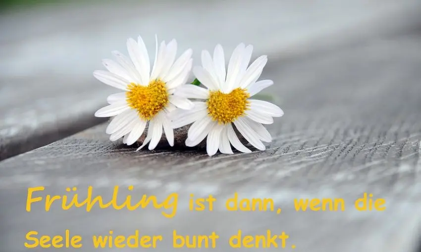 Andachtsbild von ♥️