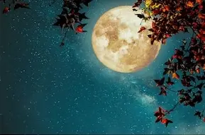 Andachtsbild von Gaby mit Snowy ❤️