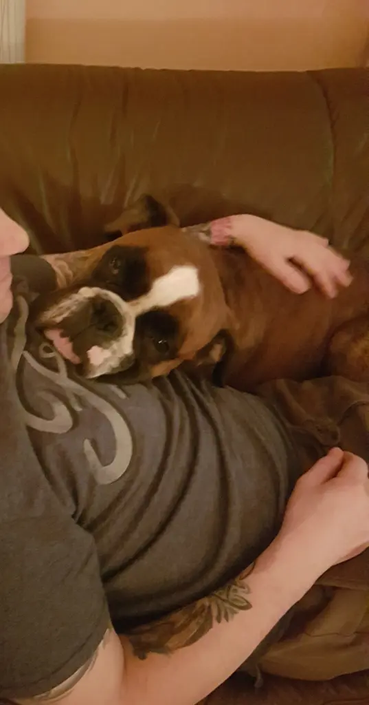 Andachtsbild von Karina und Jörg mit Floyd im ❤ 