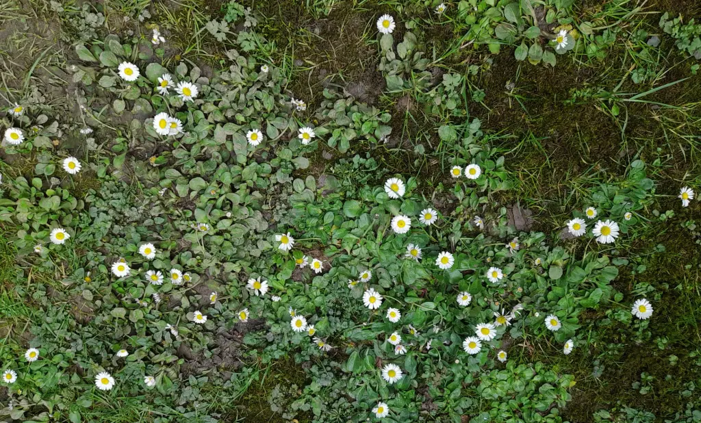 Andachtsbild von Heike und Tucker