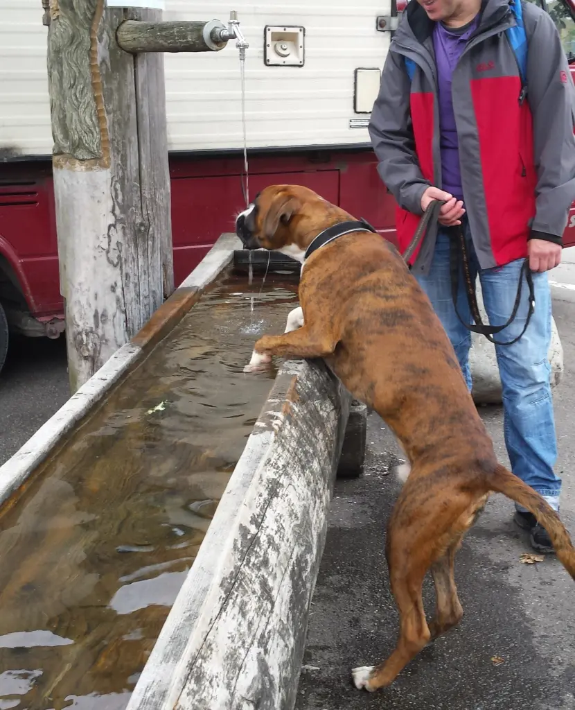 Andachtsbild von Karina und Jörg mit Floyd im ❤ 