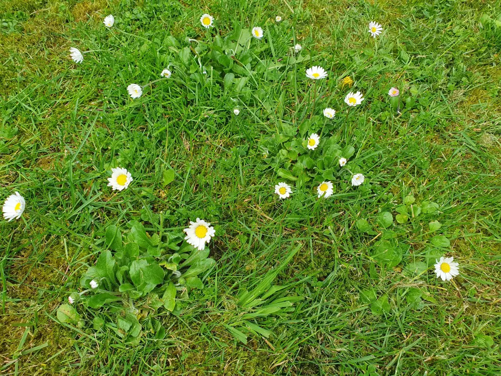 Andachtsbild von Karina mit Floyd im ❤ 