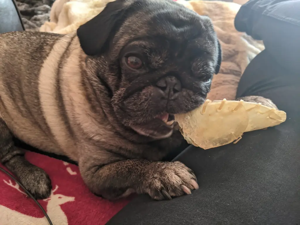 Andachtsbild von Linda Bader