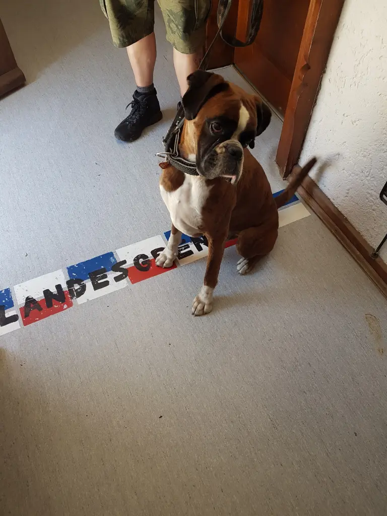 Andachtsbild von Karina und Jörg mit Floyd im ❤ 