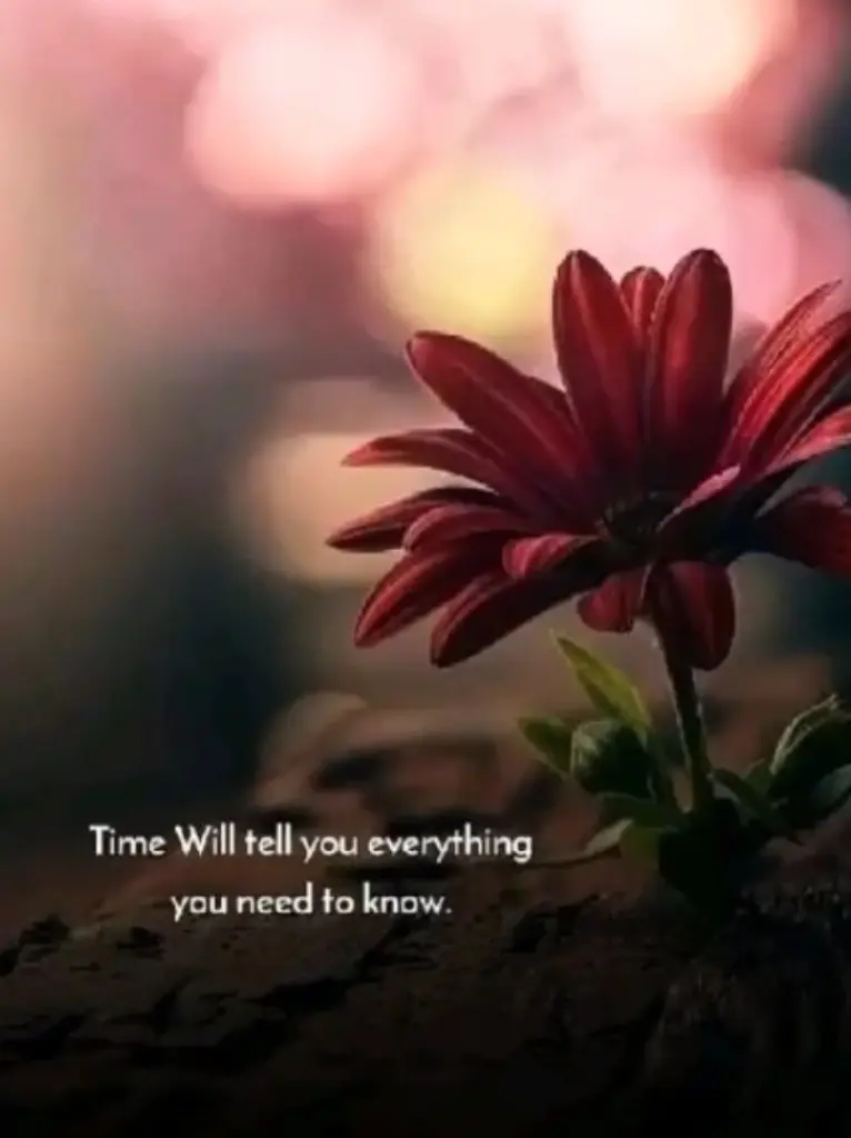 Andachtsbild von Unbekannt