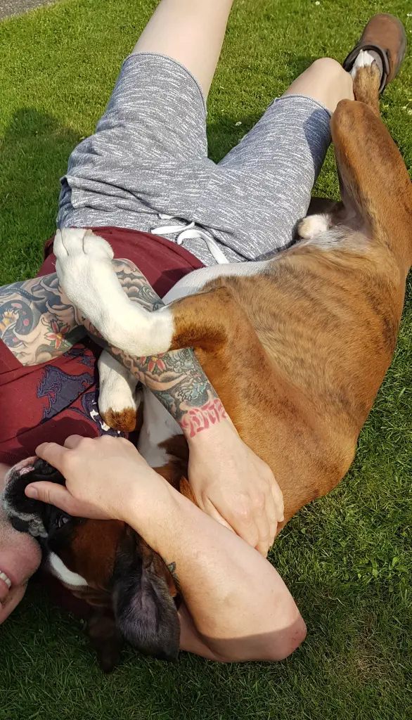 Andachtsbild von Karina und Jörg mit Floyd im ❤ 