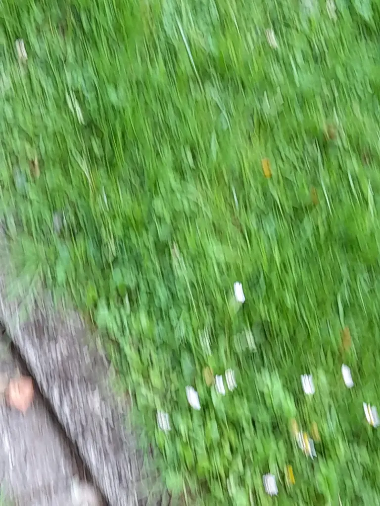 Andachtsbild von Heike und Tucker