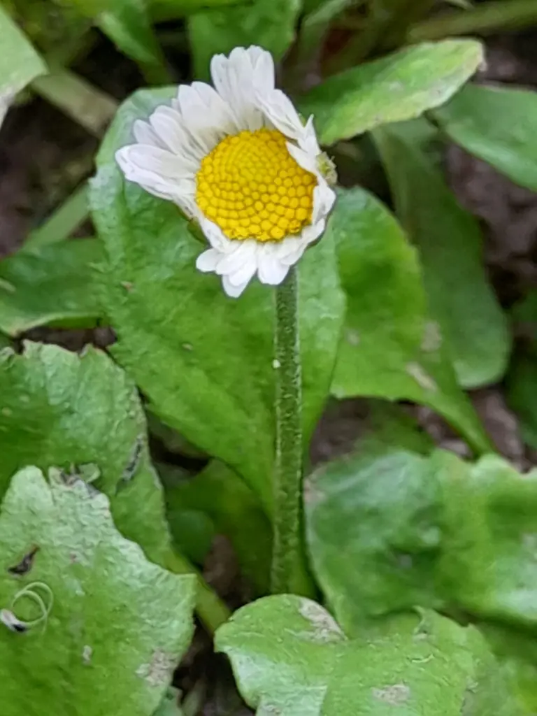 Andachtsbild von Heike und Tucker