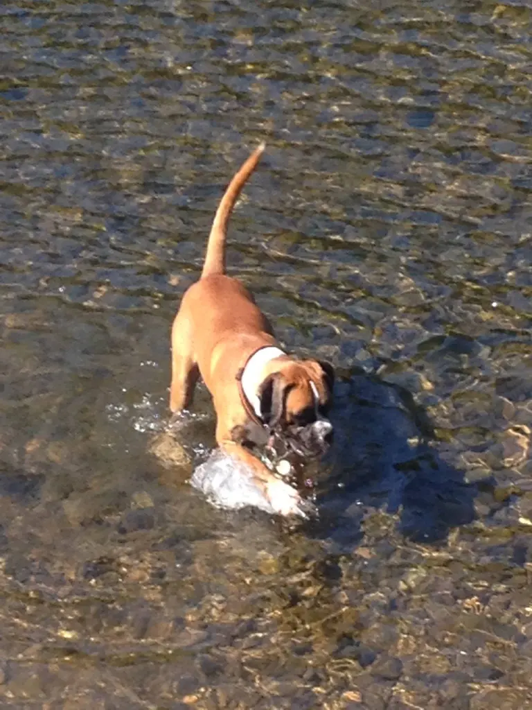 Andachtsbild von Heike und Tucker