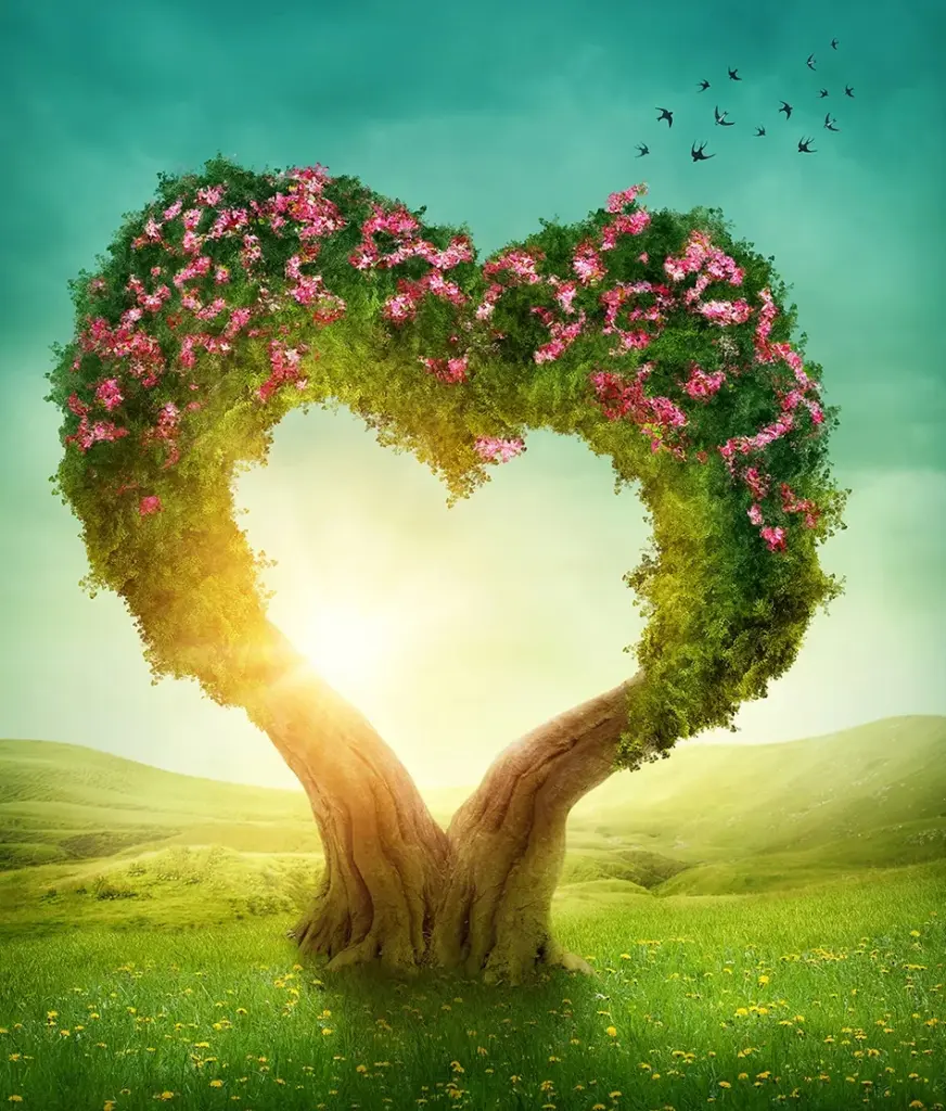 Andachtsbild von Dankeschön ❤️