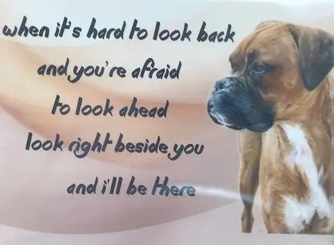 Andachtsbild von Karina und Jörg mit Floyd im ❤ 