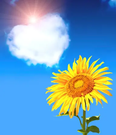 Andachtsbild von Gaby mit Snowy* im Herzen 