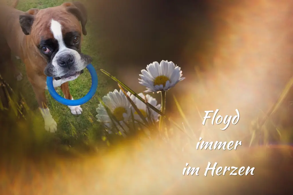 Andachtsbild von Gaby 