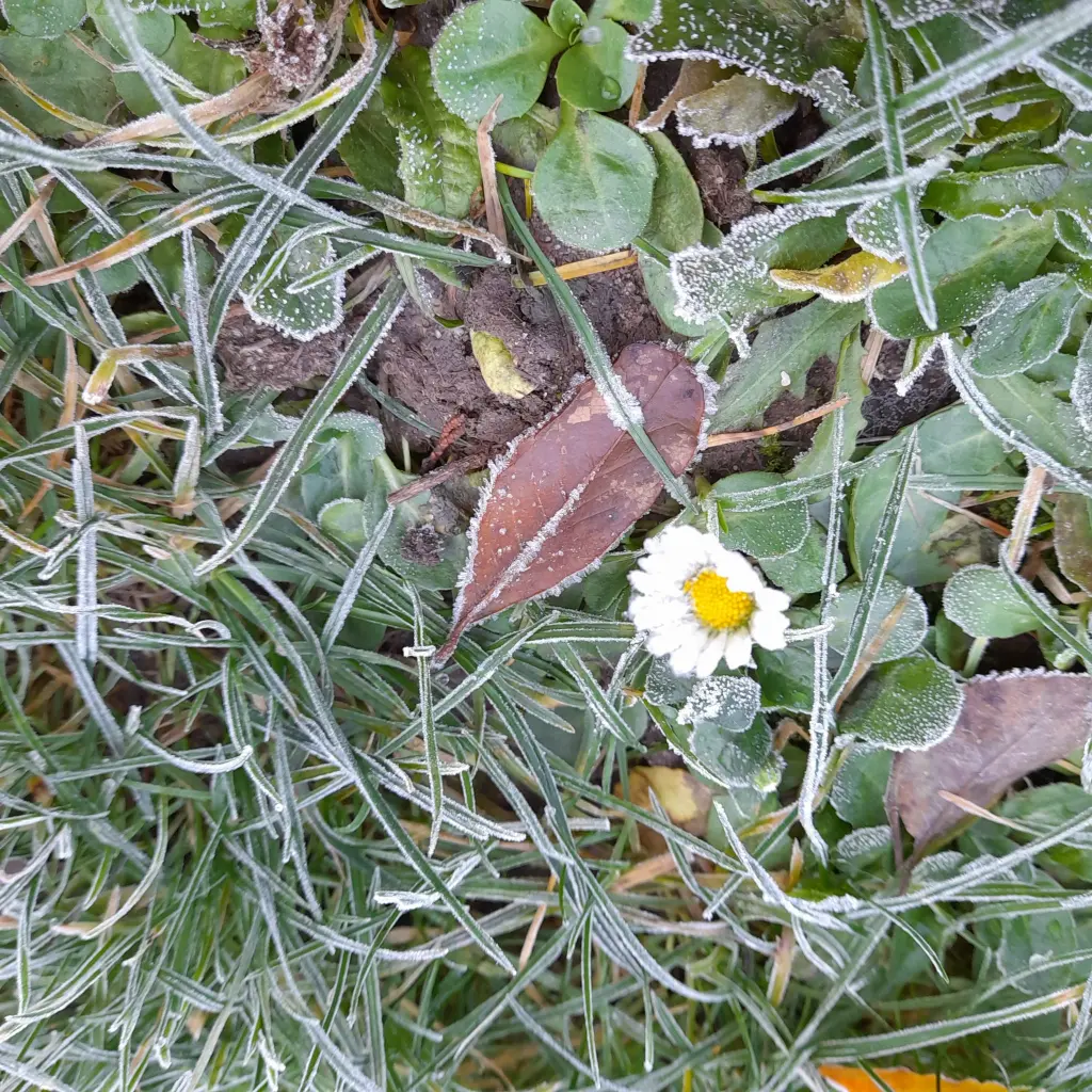 Andachtsbild von Heike und Familie