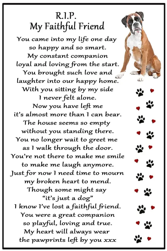 Andachtsbild von Karina und Jörg mit Floyd im ❤ 