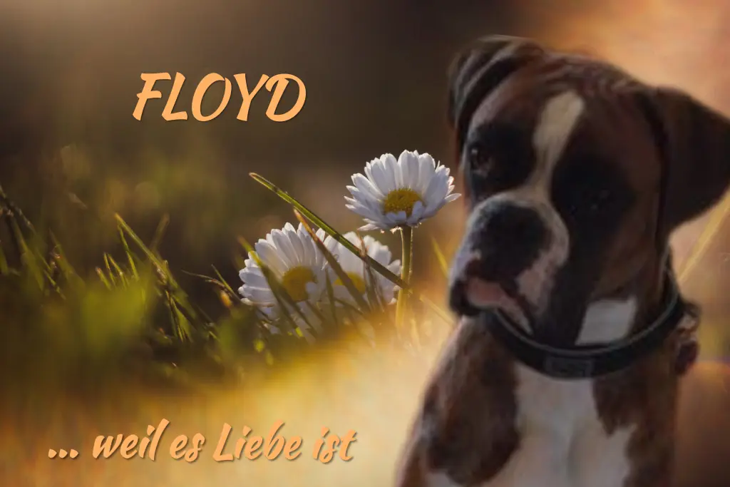 Andachtsbild von Gaby 