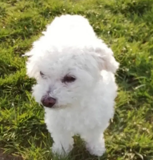 Andachtsbild von Snowy❤️❤️