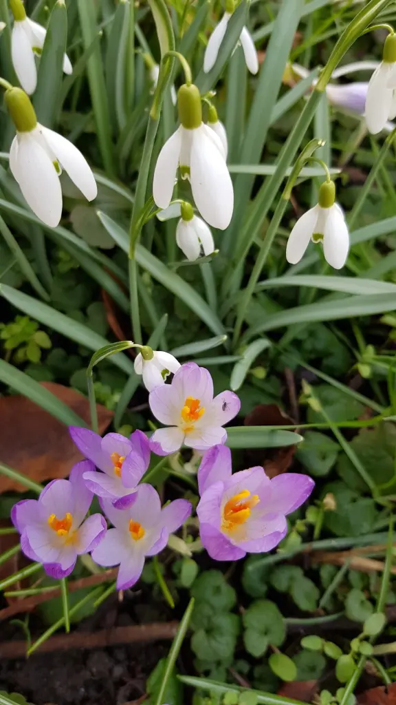 Andachtsbild von Monate der  Sehnsucht ❤️