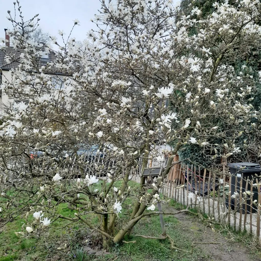 Andachtsbild von Heike und Tucker