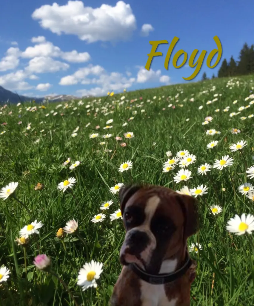 Andachtsbild von 30 Monate....Sehnsucht ♥️