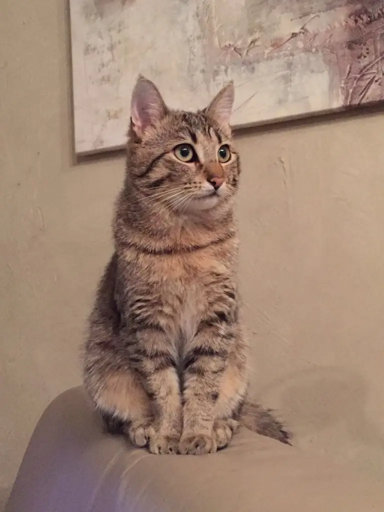 Andachtsbild von Jörg, Susanne und Malin