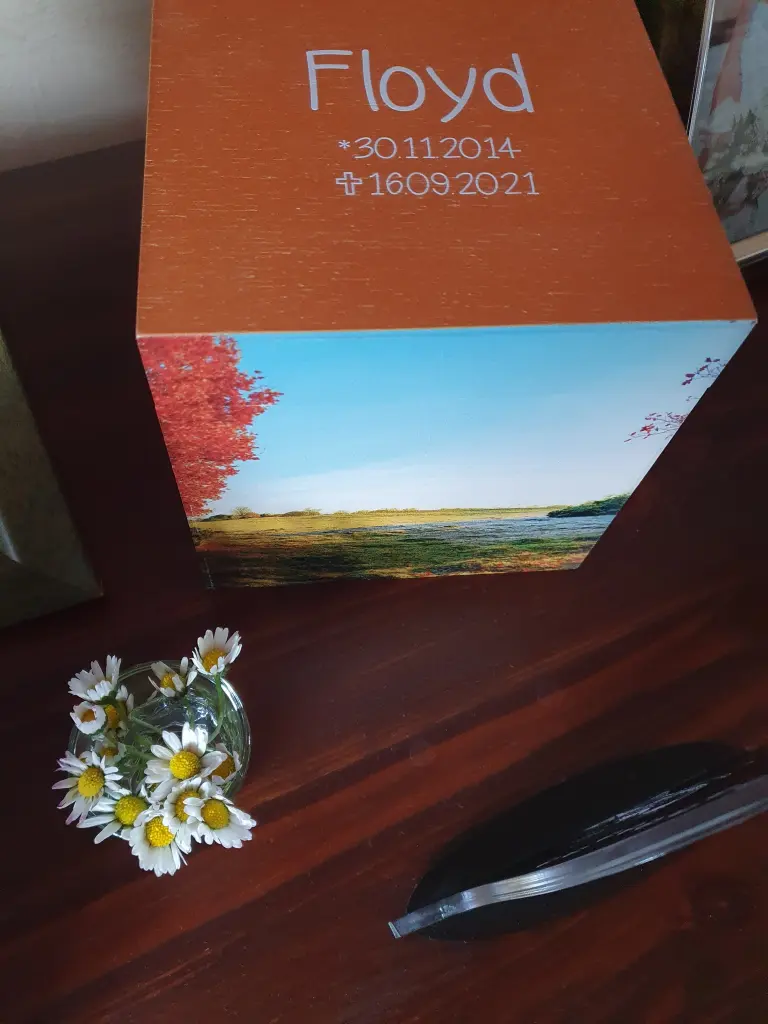 Andachtsbild von Karina und Jörg mit Floyd im ❤ 