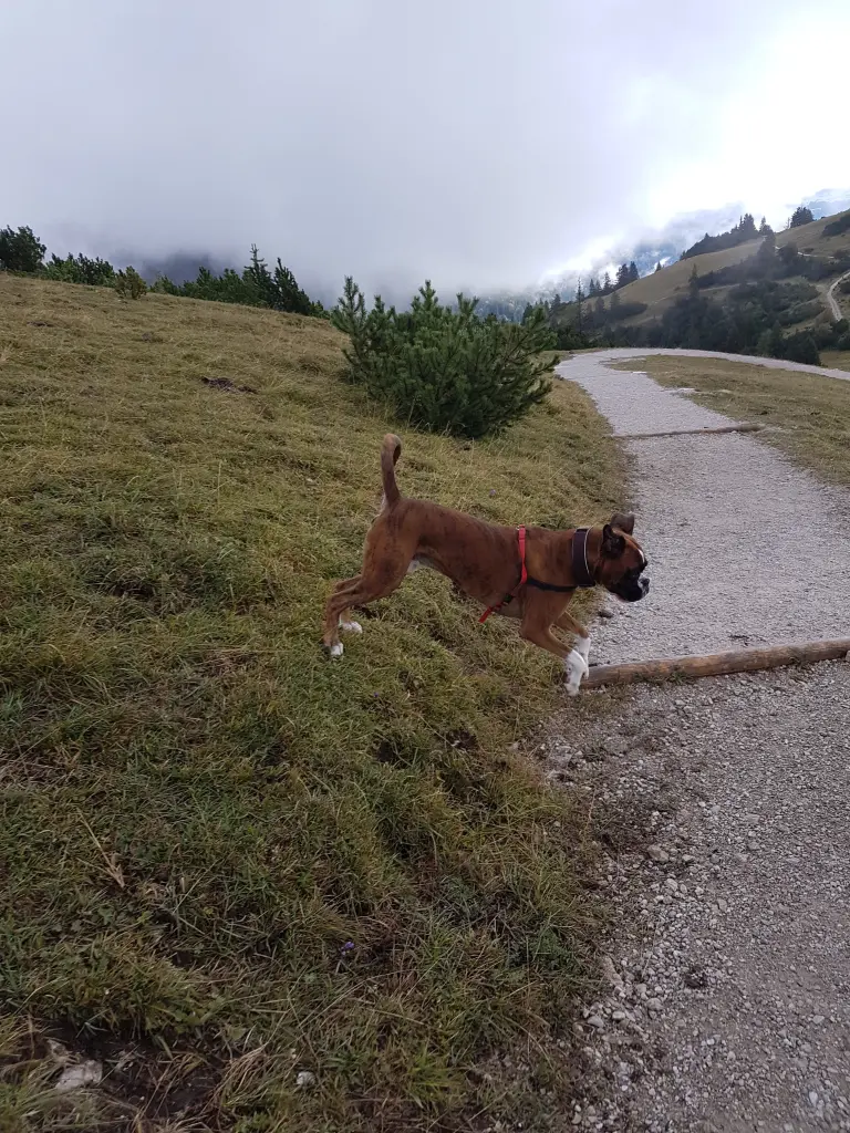 Andachtsbild von Karina mit Floyd im ❤ 