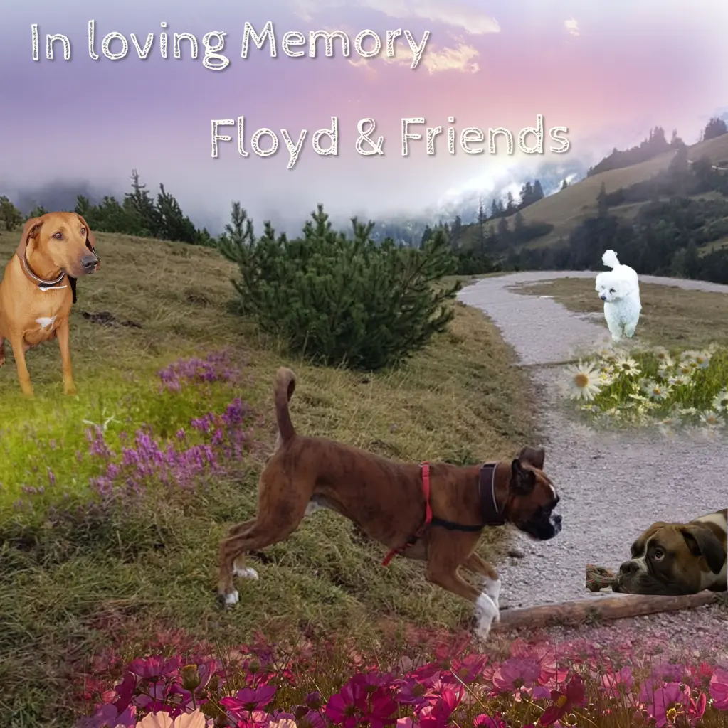 Andachtsbild von Gaby mit Snowy ❤️