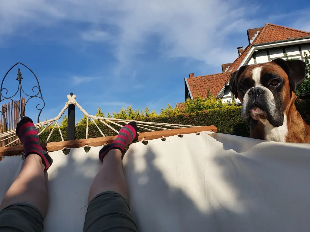 Andachtsbild von Karina und Jörg mit Floyd im ❤ 