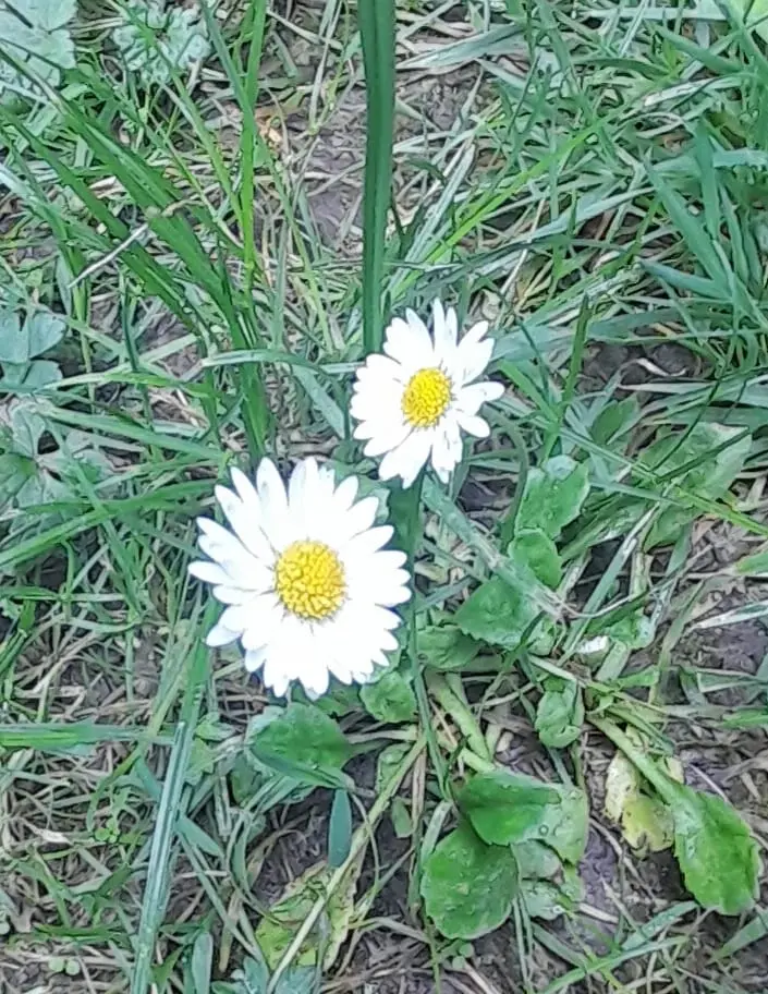 Andachtsbild von Heike und Matthias