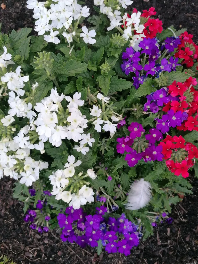 Andachtsbild von ♥️