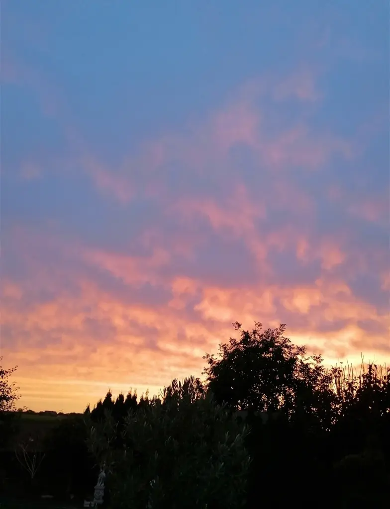 Andachtsbild von Gaby mit Snowy im Herzen 