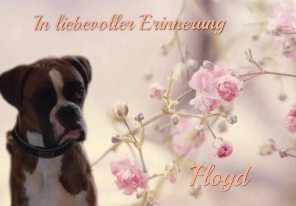 Andachtsbild von Immer im Herzen ❤️