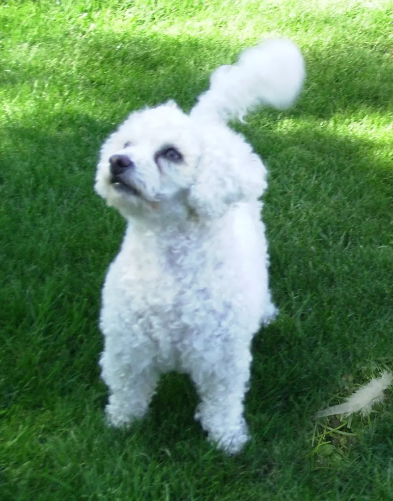 Andachtsbild von ♡Herzen ♡