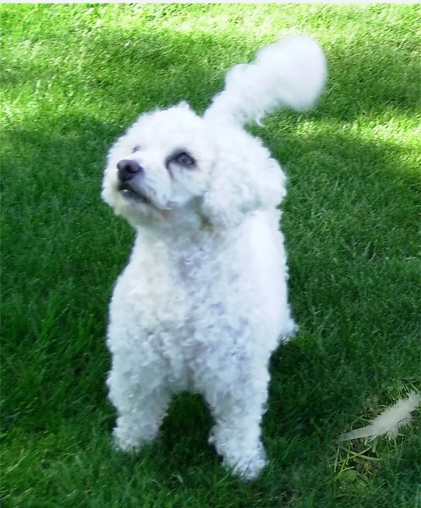 Andachtsbild von ♡Herzen♡