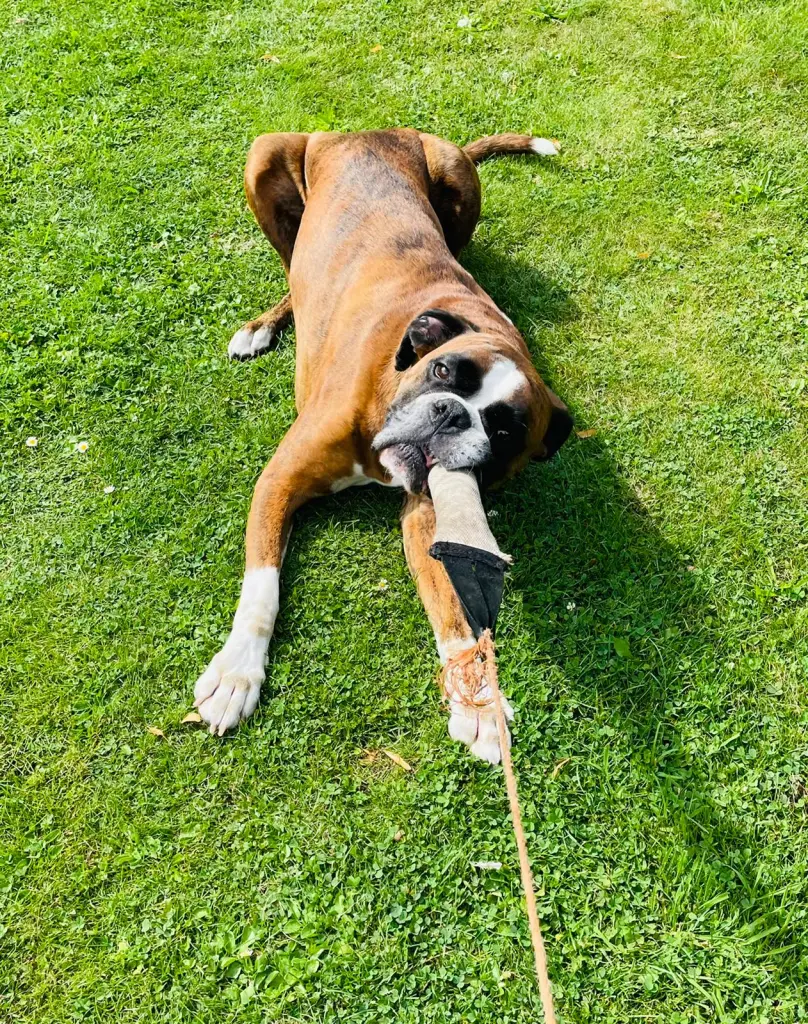 Andachtsbild von Karina und Jörg mit Floyd im ❤