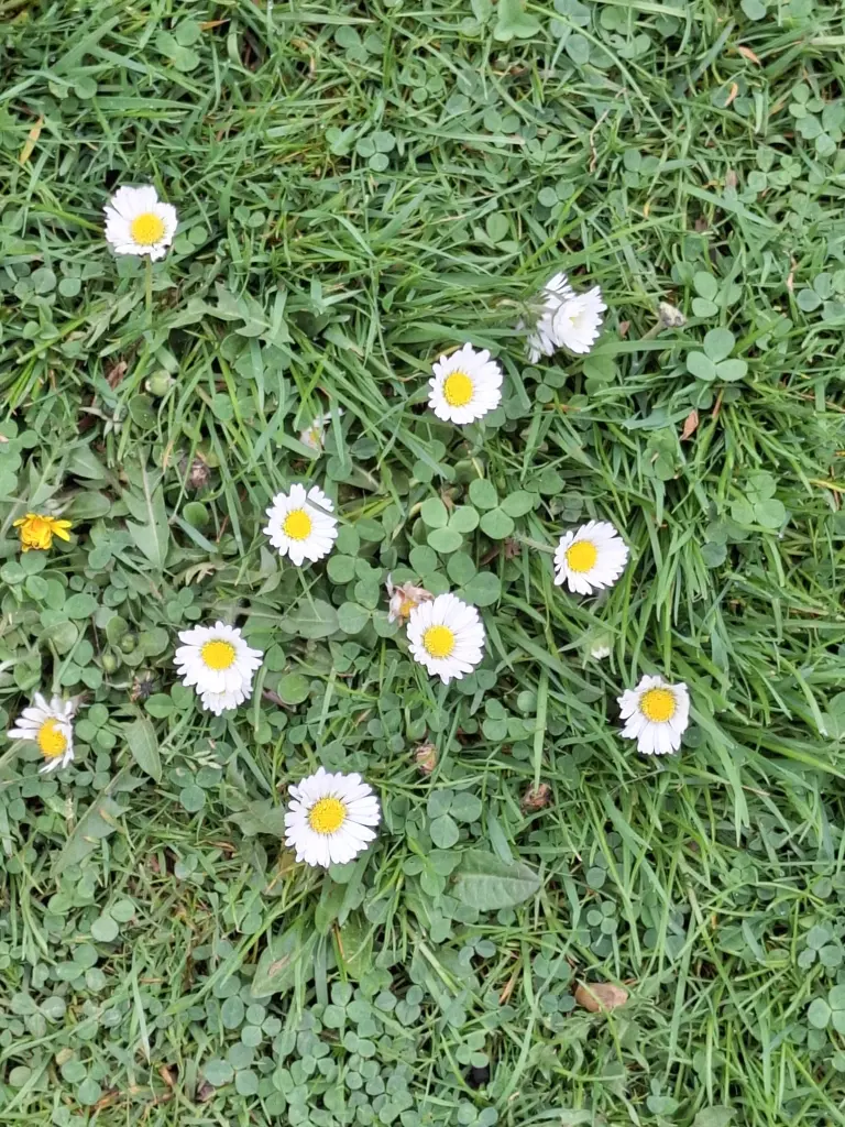 Andachtsbild von Heike und Tucker