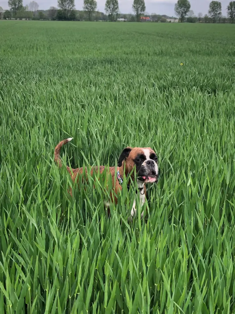 Andachtsbild von Karina und Jörg mit Floyd im ❤