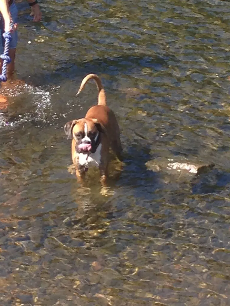 Andachtsbild von Heike und Tucker