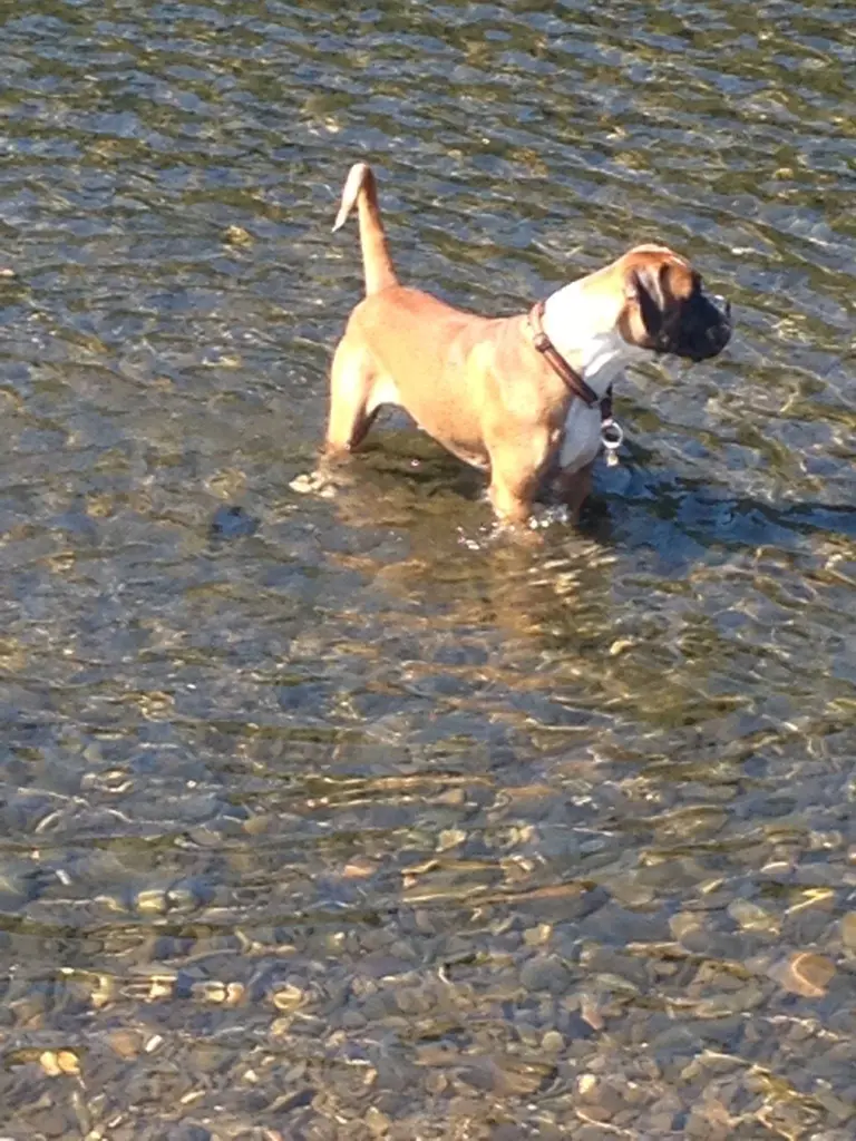 Andachtsbild von Heike und T