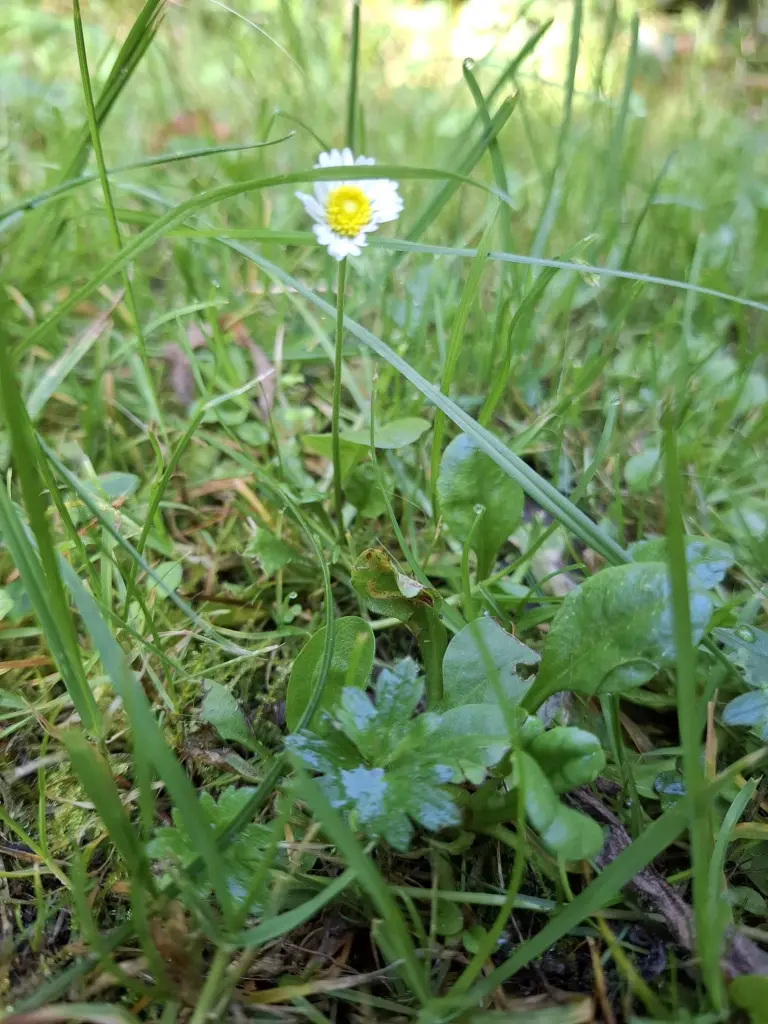 Andachtsbild von Heike und Tucker