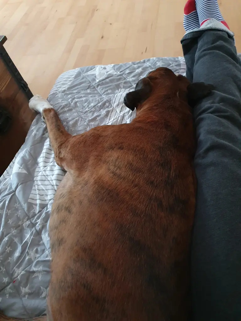 Andachtsbild von Karina und Jörg mit Floyd im Herzen