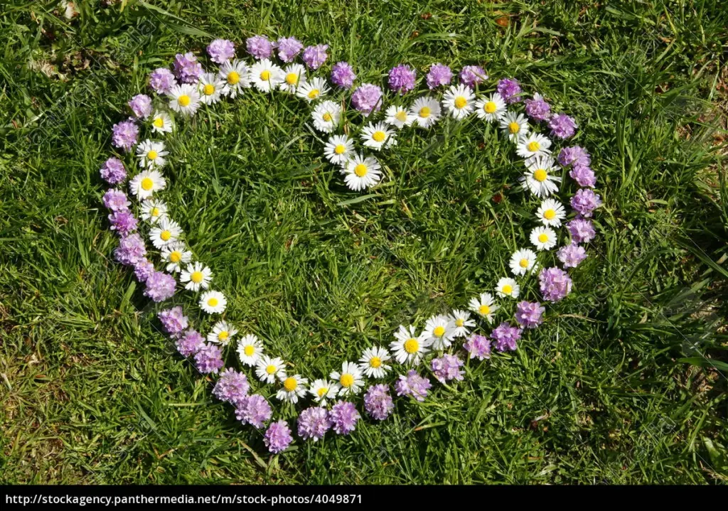 Condolence image of Heike und Tucker
