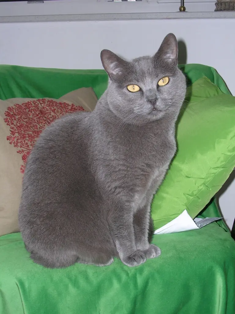 Condolence image of Anke