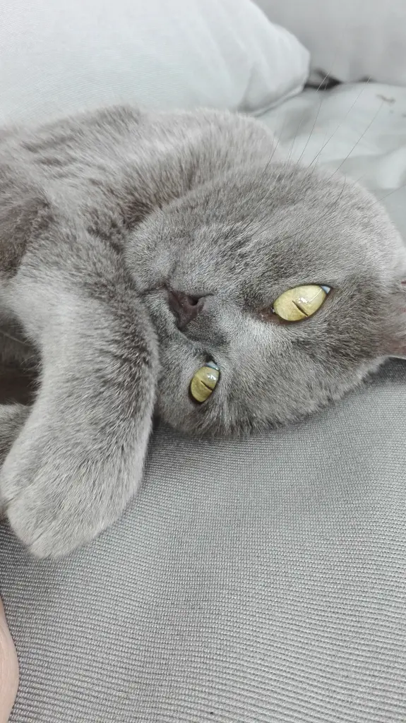 Image from Tilda